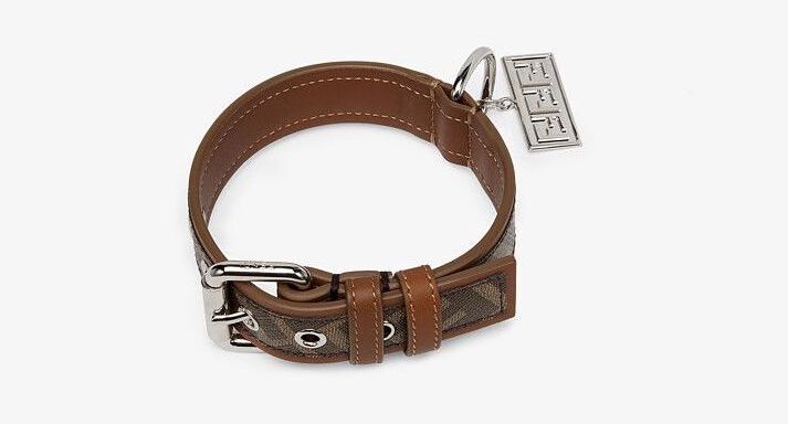 Vòng cổ chó của Fendi