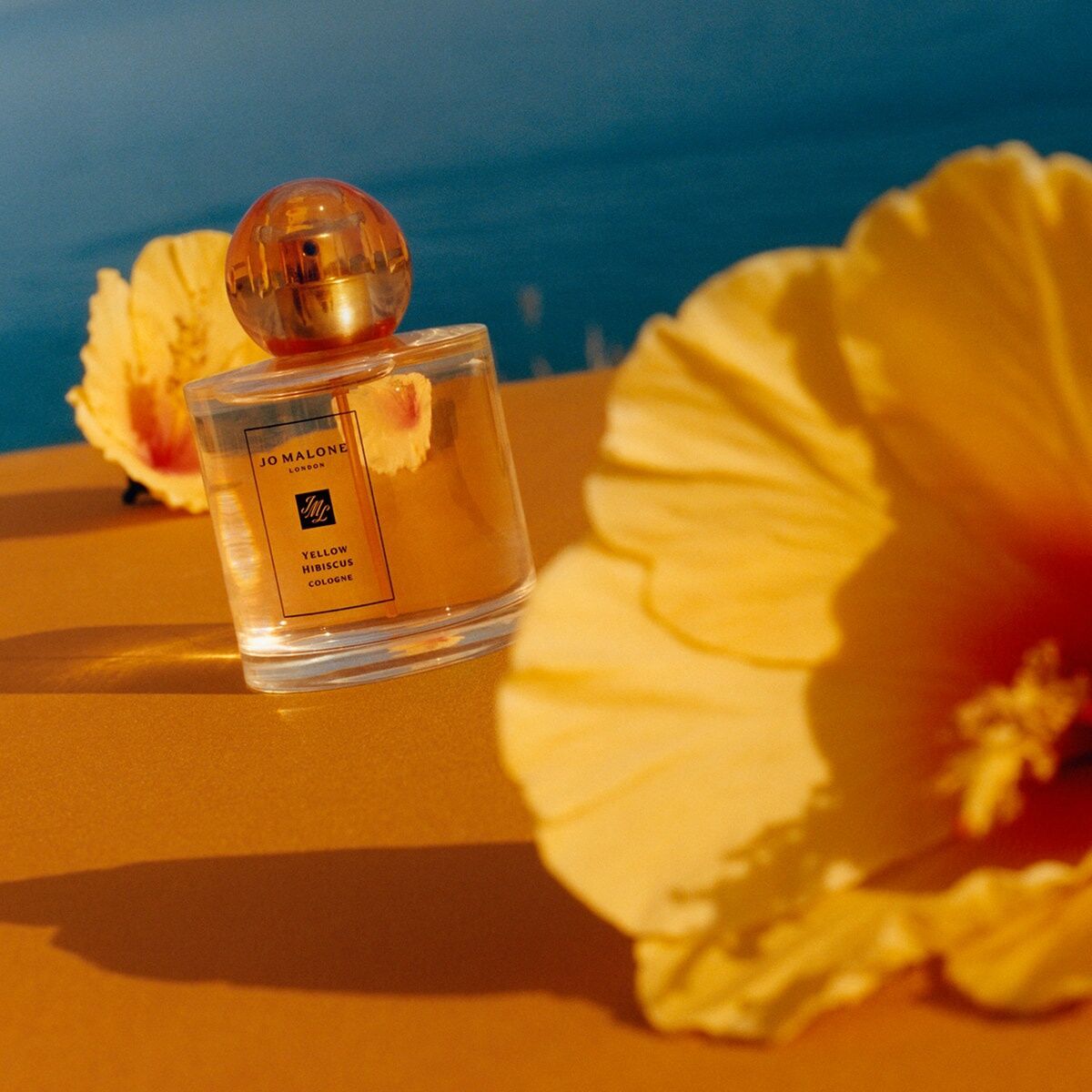 Yellow Hibiscus Cologne