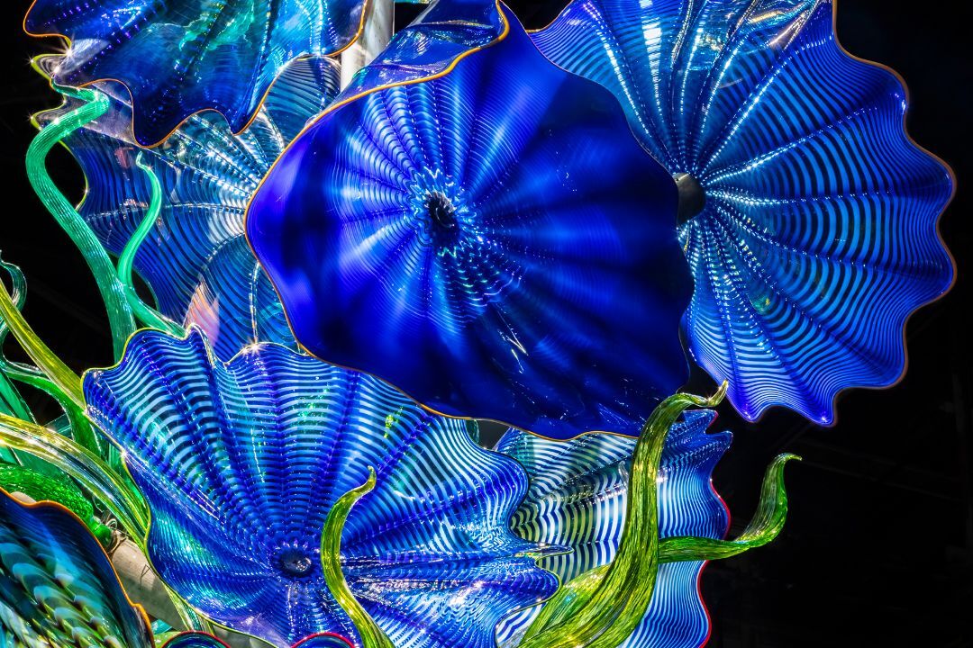 Các tác phẩm từ thuỷ tinh thổi của Chihuly lần đầu tiên đến với châu Á