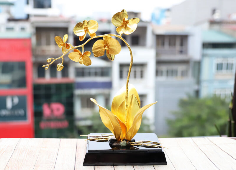 Một chậu hoa lan hồ điệp mang đến vẻ đẹp kiêu sa, quý phái. Với những người Mẹ thích sưu tập hoa, những món quà này sẽ theo mãi bên mẹ bởi tuổi thọ của “những cành vàng” này là trường tồn và vĩnh cửu.