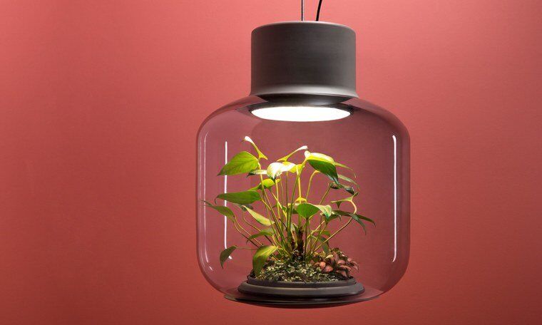 Mygdal Plantlights, giải pháp trồng cây trong đèn chiếu sáng có giá cả trăm triệu - Ảnh 1
