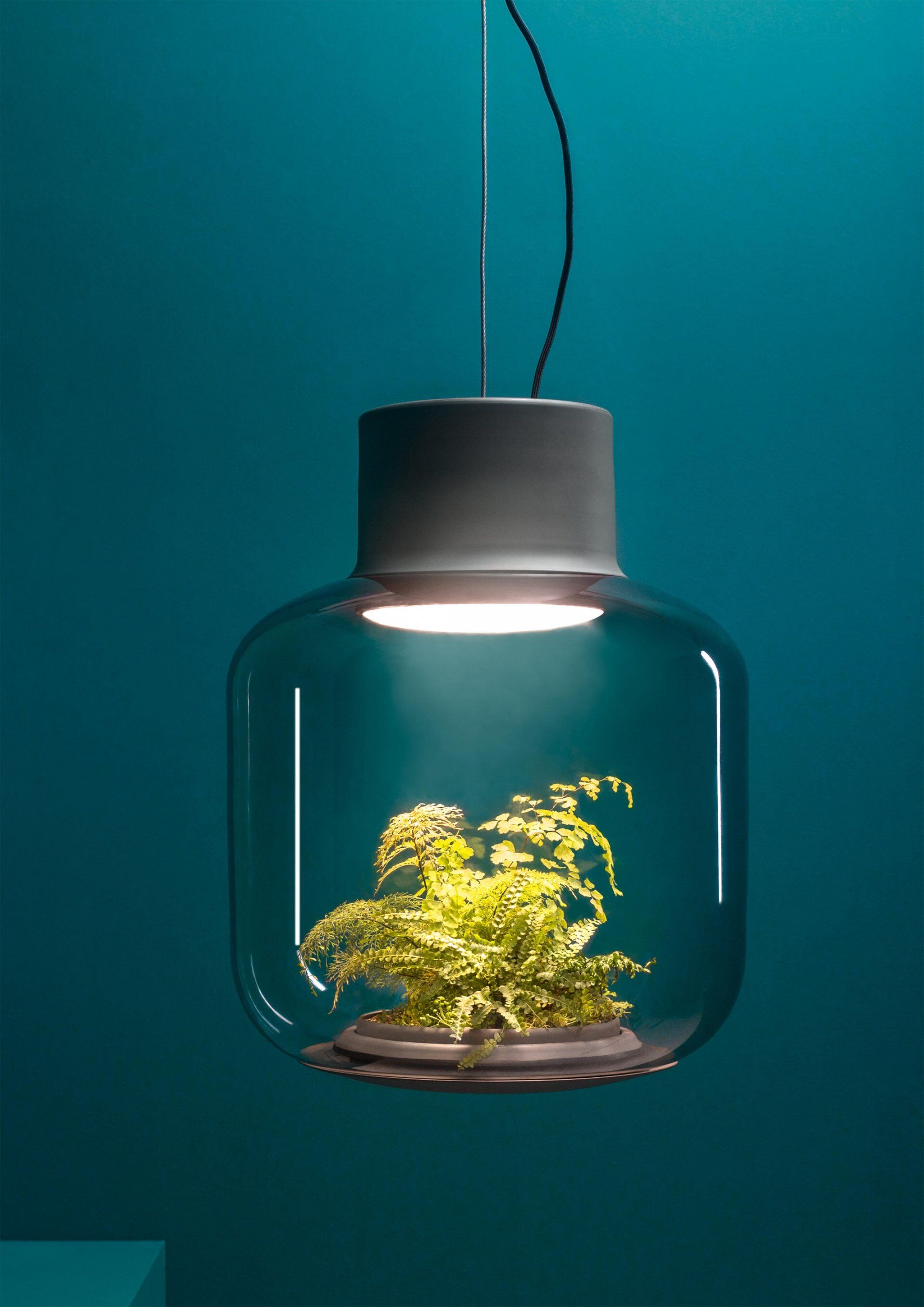Mygdal Plantlights, giải pháp trồng cây trong đèn chiếu sáng có giá cả trăm triệu - Ảnh 10