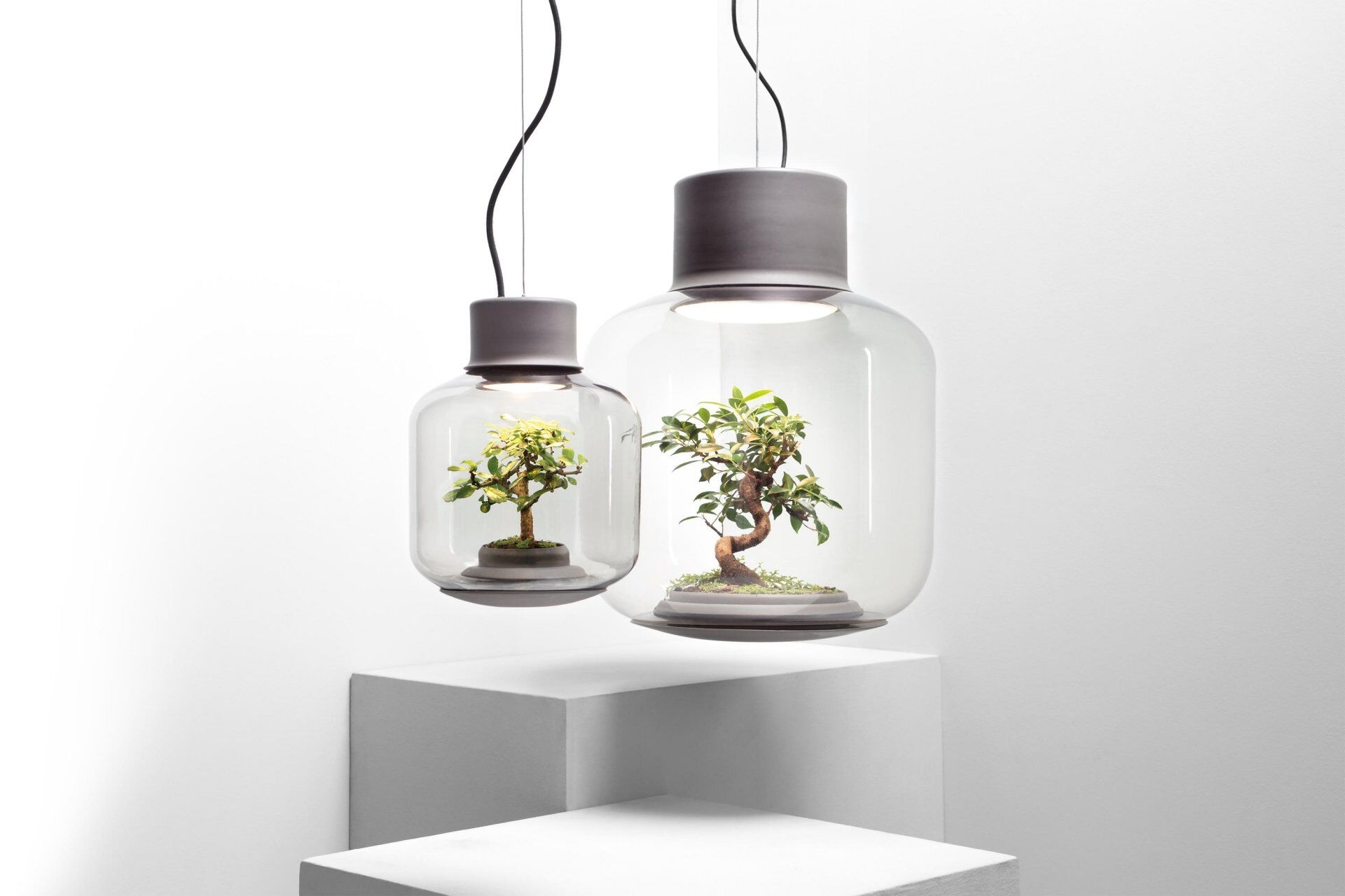 Mygdal Plantlights, giải pháp trồng cây trong đèn chiếu sáng có giá cả trăm triệu - Ảnh 6