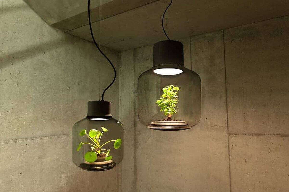 Mygdal Plantlights, giải pháp trồng cây trong đèn chiếu sáng có giá cả trăm triệu - Ảnh 8