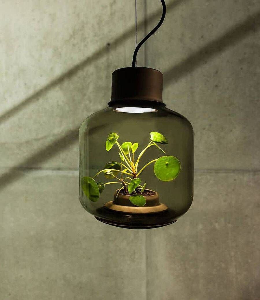 Mygdal Plantlights, giải pháp trồng cây trong đèn chiếu sáng có giá cả trăm triệu - Ảnh 9