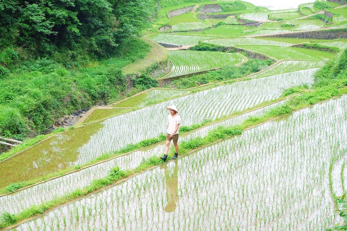 Những gam màu Nhật Bản qua ống kính chàng trai Việt - 1