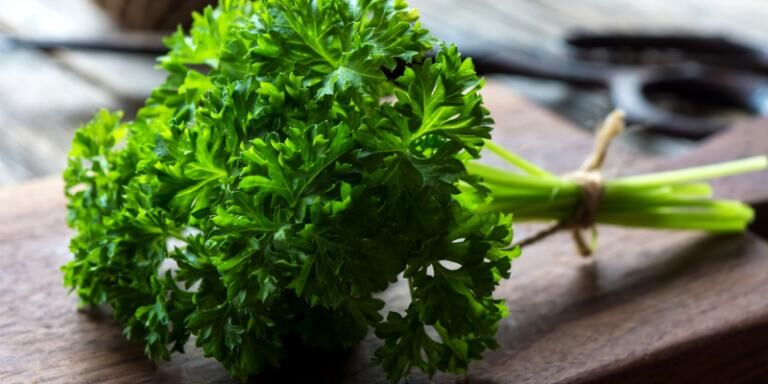 5 thực phẩm dễ kiếm giúp hơi thở thơm tho, tự tin giao tiếp - 1