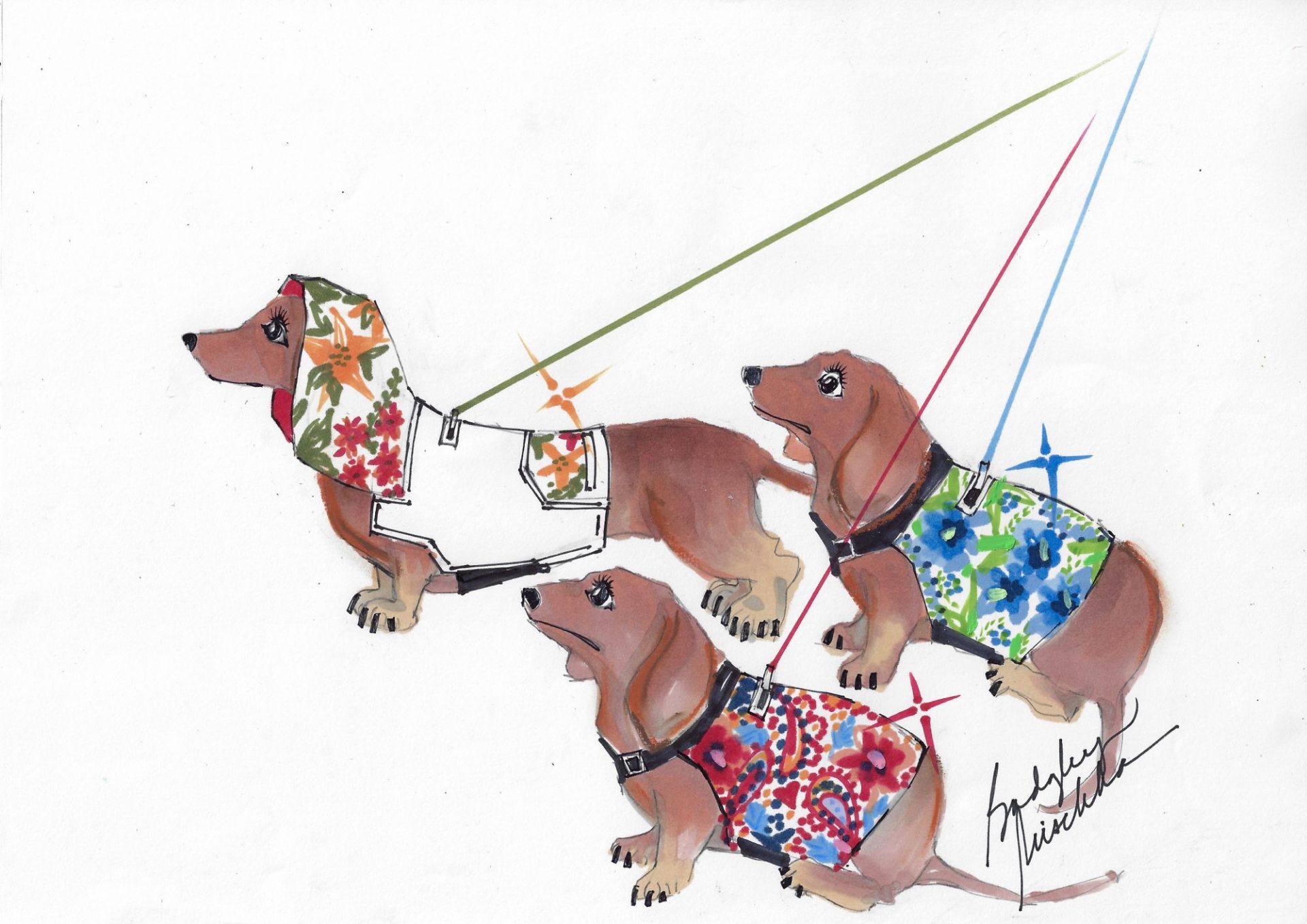 K9Wear và Badgley Mischka