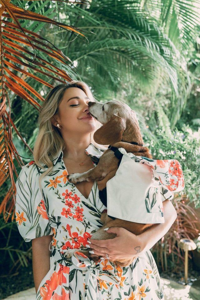K9Wear và Badgley Mischka Gabi Demartino