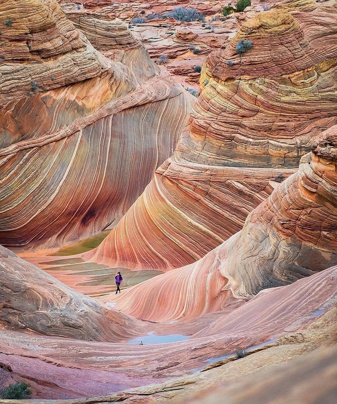 Wave Rock, USA