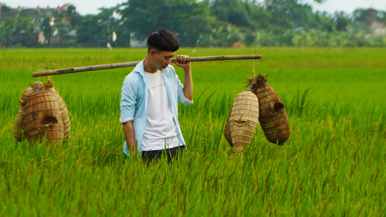 Tô Văn Lộc