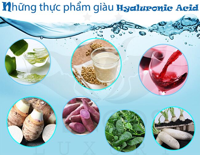 Thực phẩm chứa acid hyaluronic