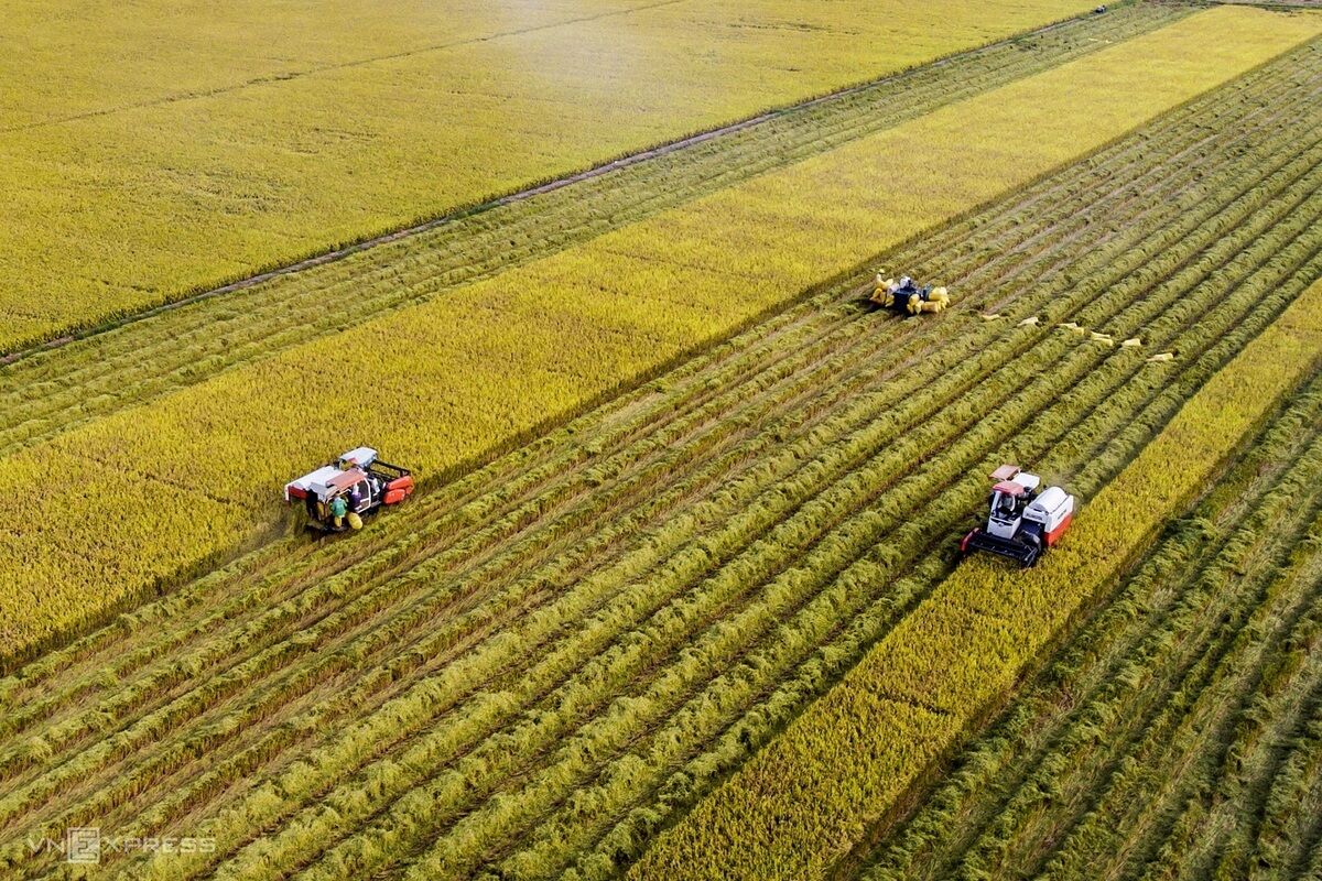 Vẻ đẹp bốn mùa ở miền sông nước Long An - 7