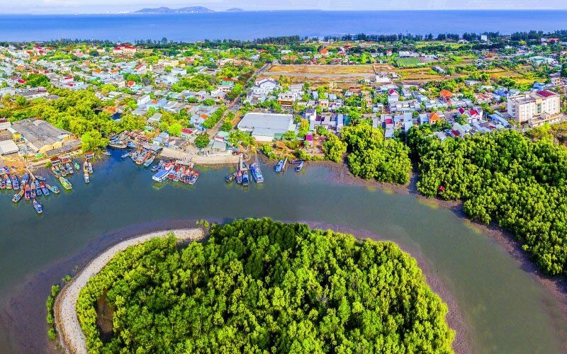 Khu Dự trữ sinh quyển rừng ngập mặn Cần Giờ - “Lá phổi xanh” của TP.HCM - 6