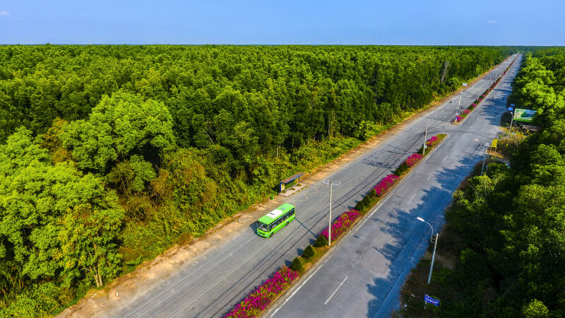 Khu Dự trữ sinh quyển rừng ngập mặn Cần Giờ - “Lá phổi xanh” của TP.HCM - 8