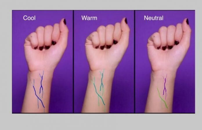 Tĩnh mạch màu xanh da trời – tím, tức da bạn thuộc Cool Undertone (tông lạnh).