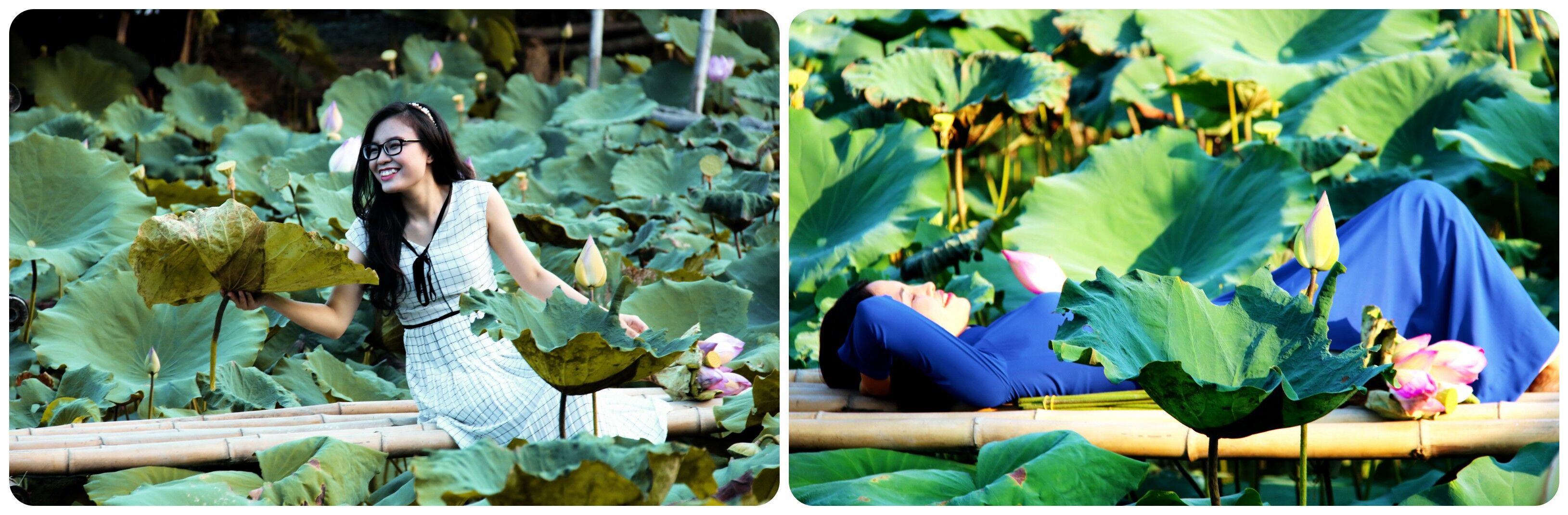 Lạc lối giữa đầm sen hồng thơ mộng ở thành phố biển Nha Trang - 4