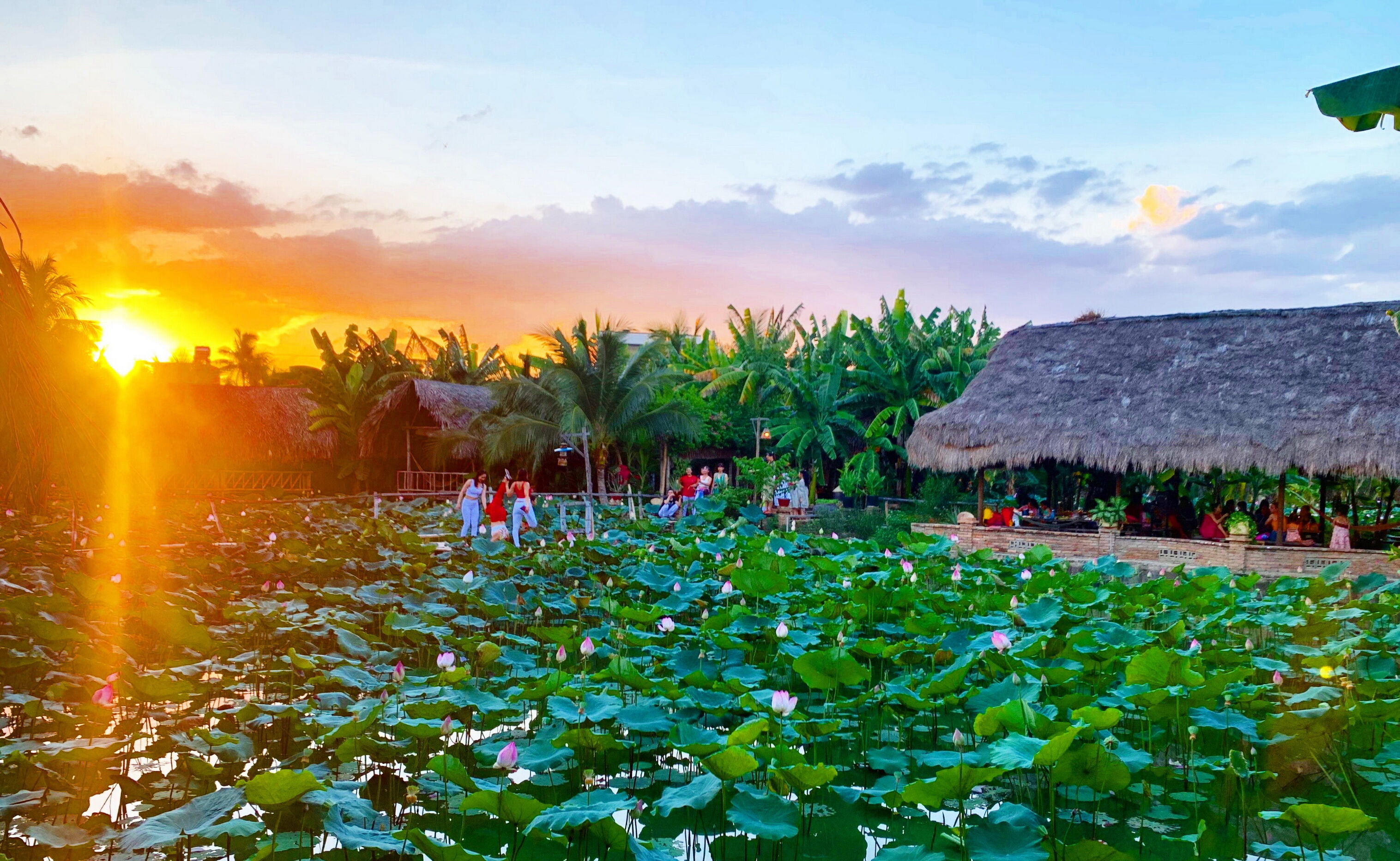 Lạc lối giữa đầm sen hồng thơ mộng ở thành phố biển Nha Trang - 5