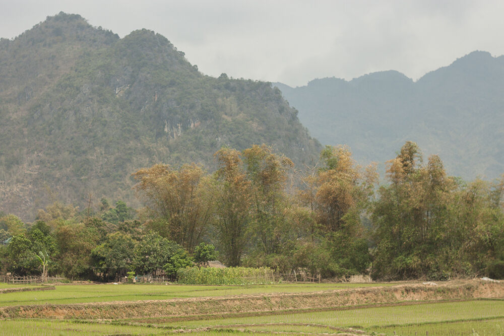 Đến Mai Châu hòa mình vào thiên nhiên núi rừng tĩnh lặng - 1