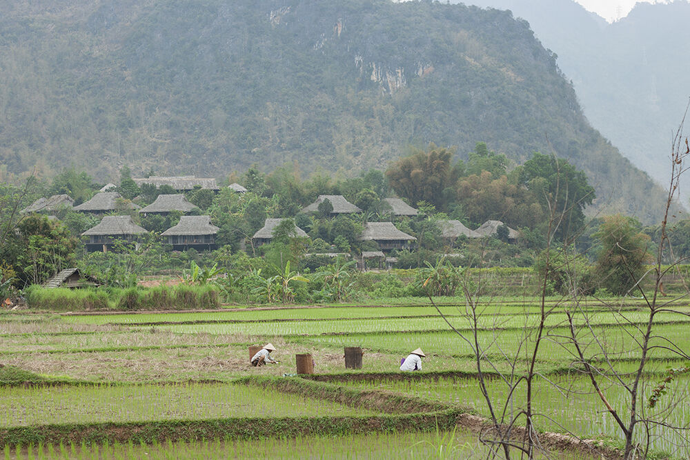 Đến Mai Châu hòa mình vào thiên nhiên núi rừng tĩnh lặng - 7