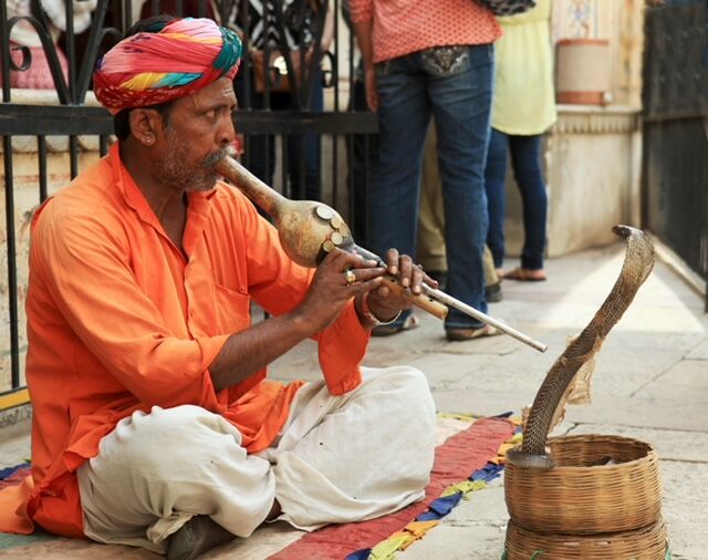 Giữa mùa Covid, du lịch qua... chữ tới Dehli - thành phố của sa thạch đỏ - 5