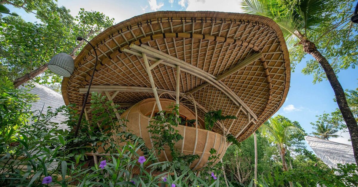 Khu nghỉ dưỡng toàn gỗ ở Bali - 2