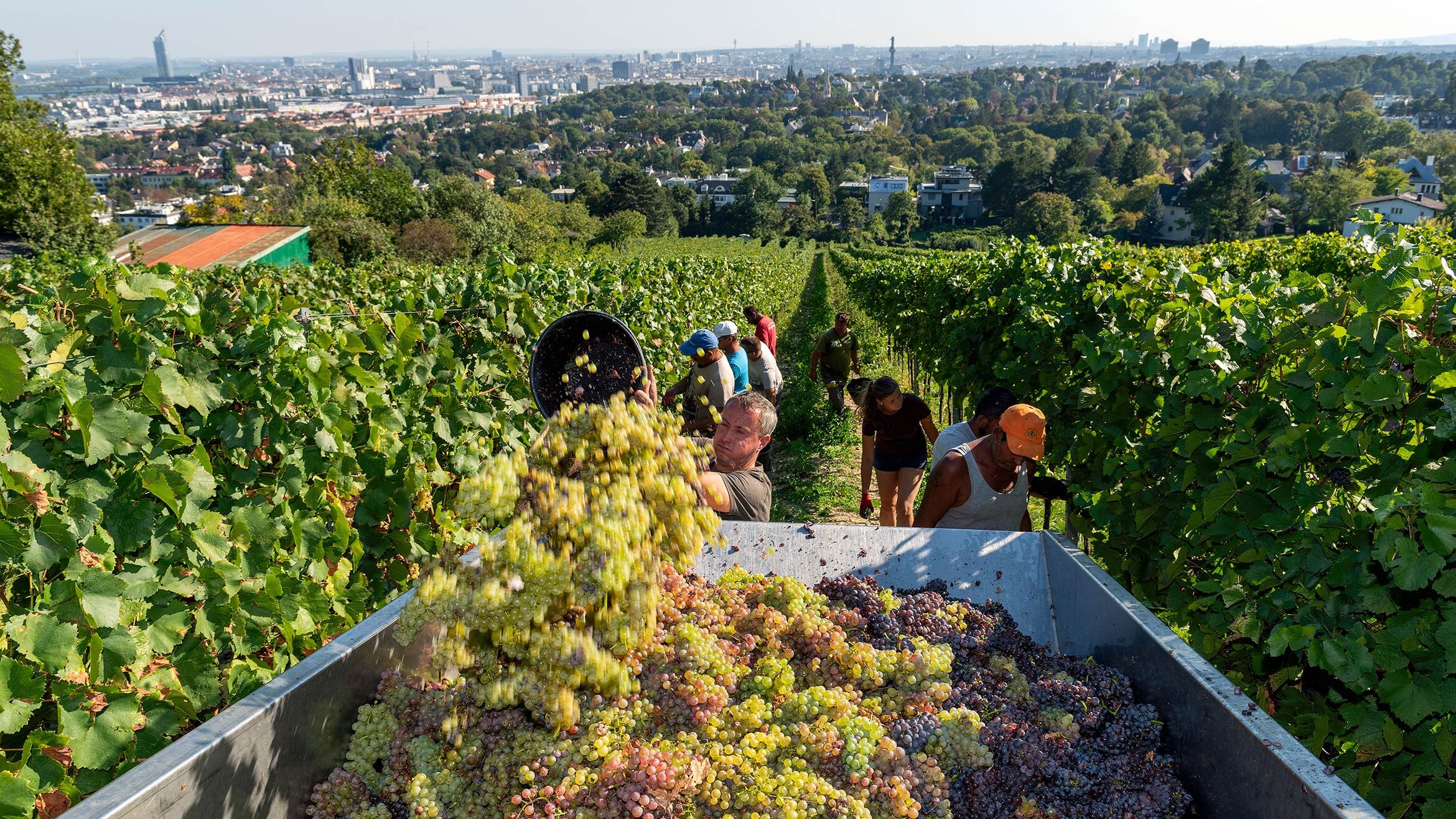 Thủ đô Vienna -