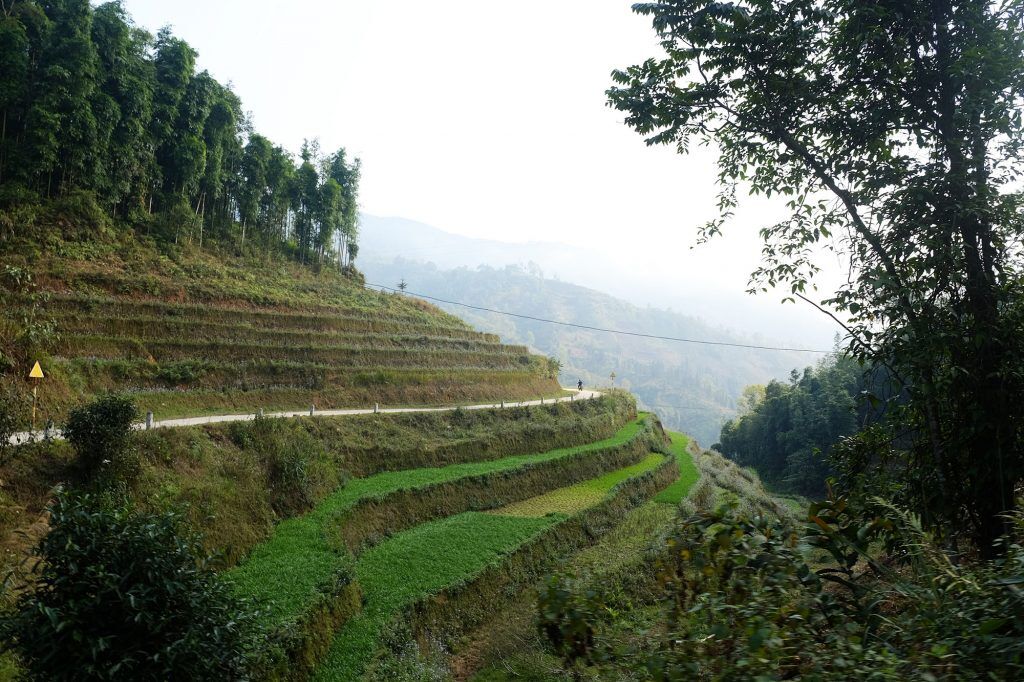 Hoàng Su Phì và mùa lúa chưa gieo - 9