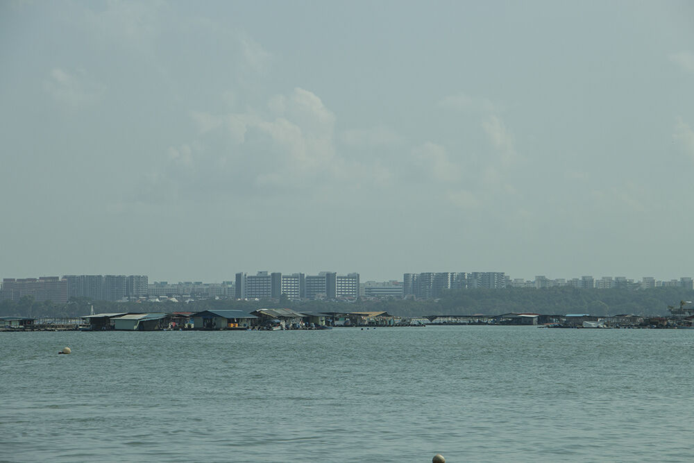Đến Pulau Ubin “xem lại” những hình ảnh, thước phim của “ngày hôm qua” - 4