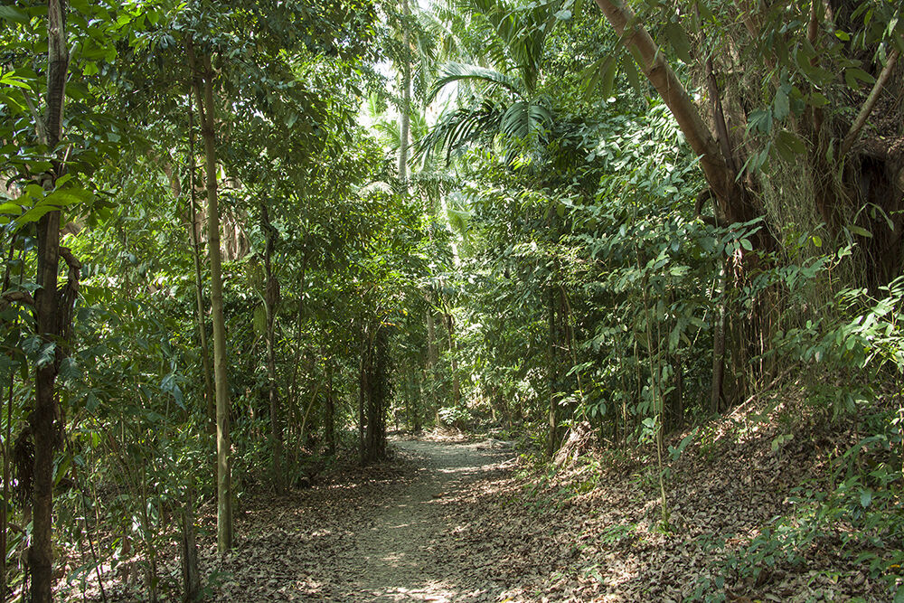 Đến Pulau Ubin “xem lại” những hình ảnh, thước phim của “ngày hôm qua” - 11