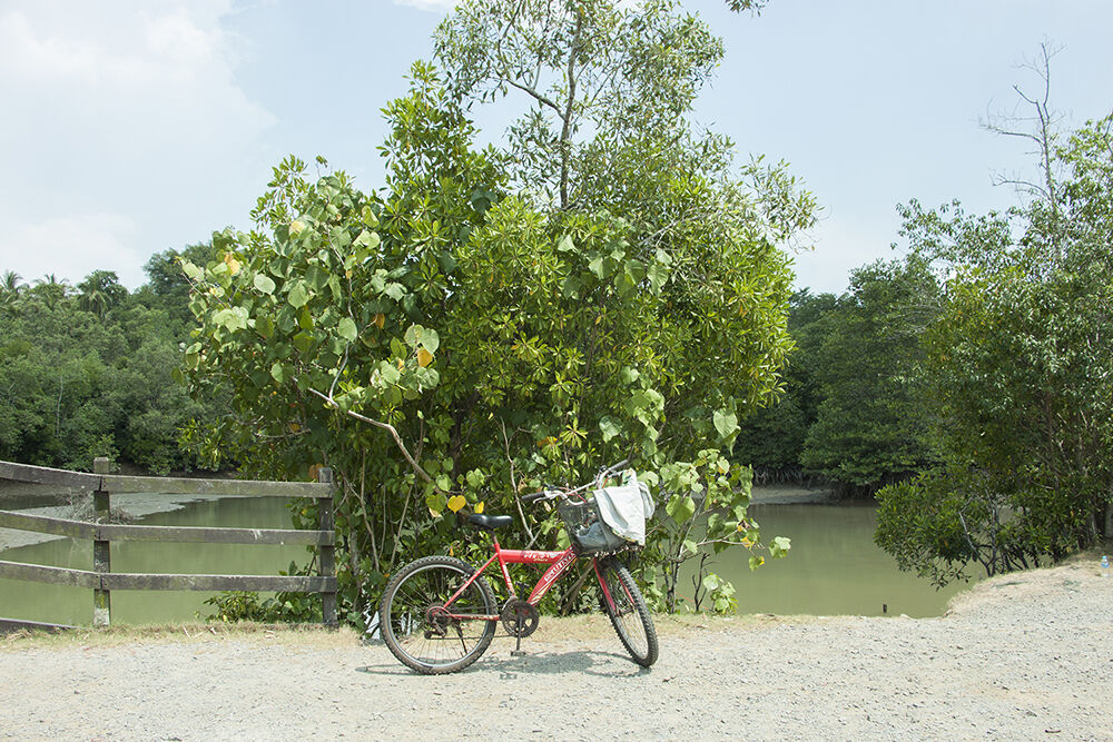Đến Pulau Ubin “xem lại” những hình ảnh, thước phim của “ngày hôm qua” - 12