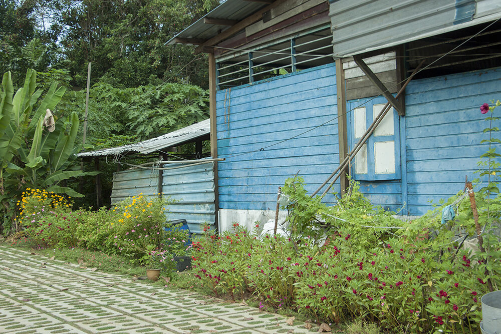 Đến Pulau Ubin “xem lại” những hình ảnh, thước phim của “ngày hôm qua” - 14