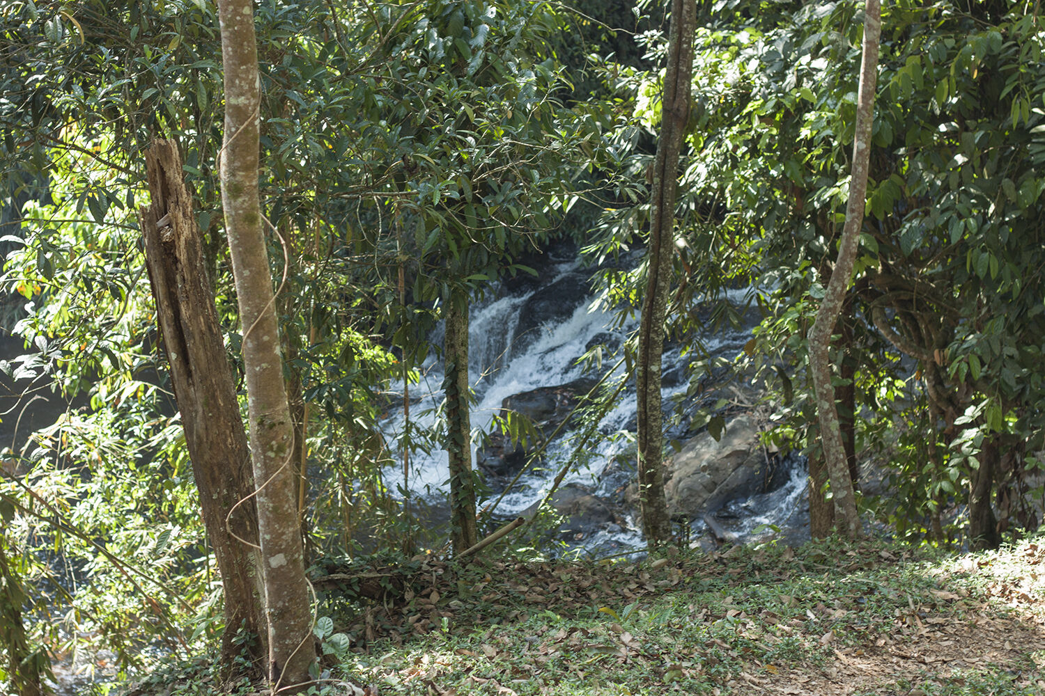 Chùa Di Đà