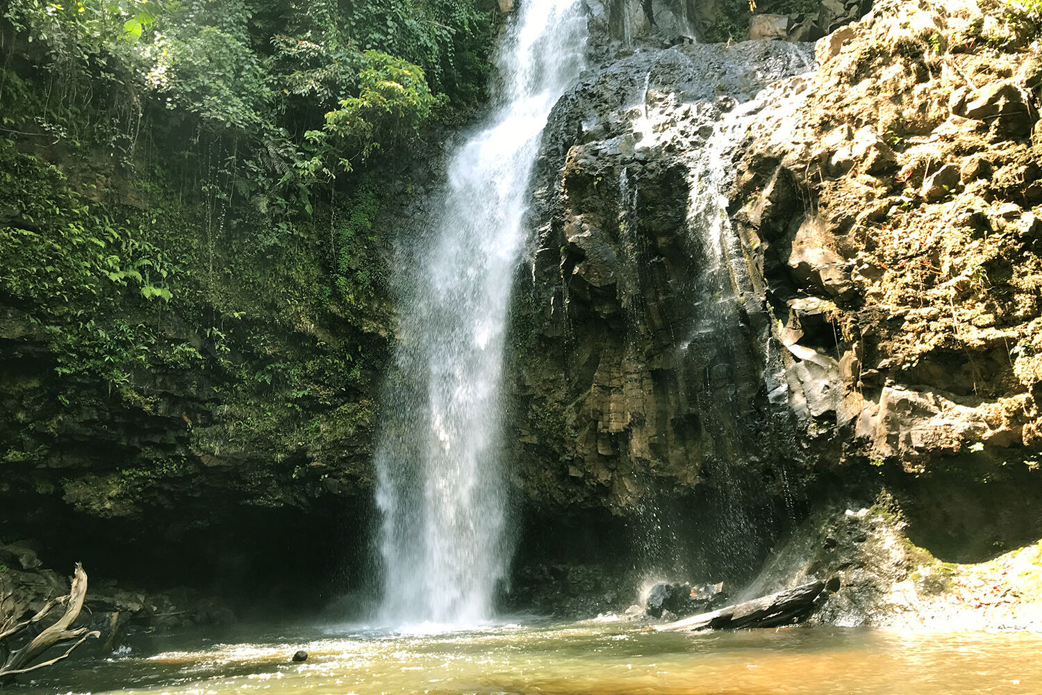 Đào Nguyên Cốc