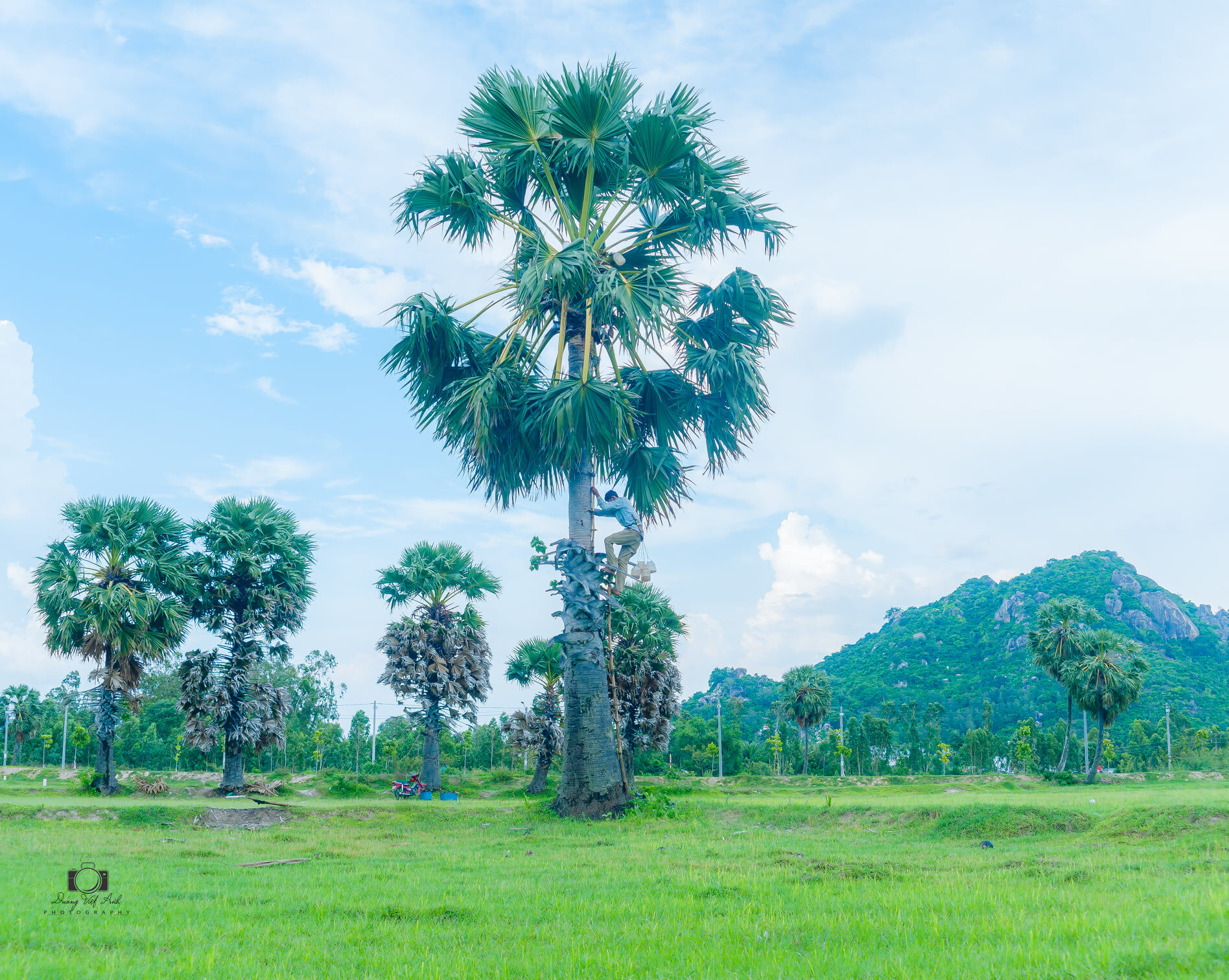 Bảy Núi An Giang - Xứ sở thốt nốt làm say lòng lữ khách - 8