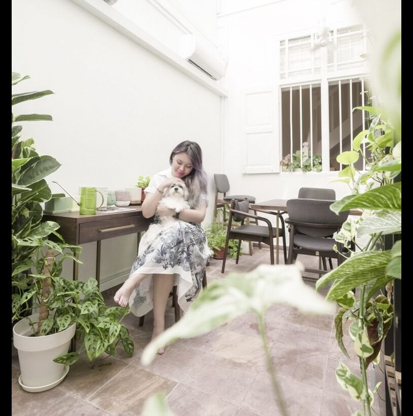 Không gian của cây và thú cưng cho những ngày giãn cách-3