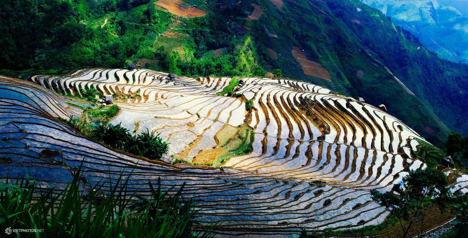 12 cảnh sắc tuyệt đẹp ở Việt Nam không nên bỏ lỡ sau dịch Covid-19 - 6