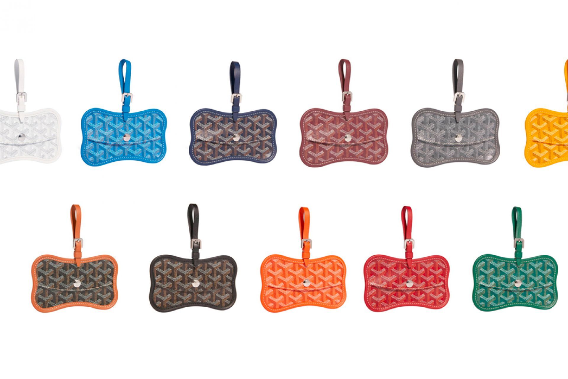 Goyard pet pouch