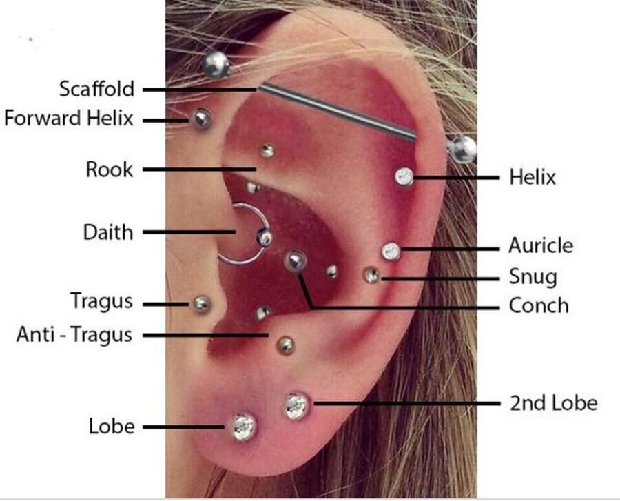 Các vị trí xỏ khuyên trên cơ thể và những điều cần lưu ý-7