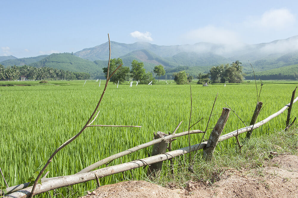 Về vùng “đất võ, trời văn” ngắm bức tranh quê mộc mạc - 1