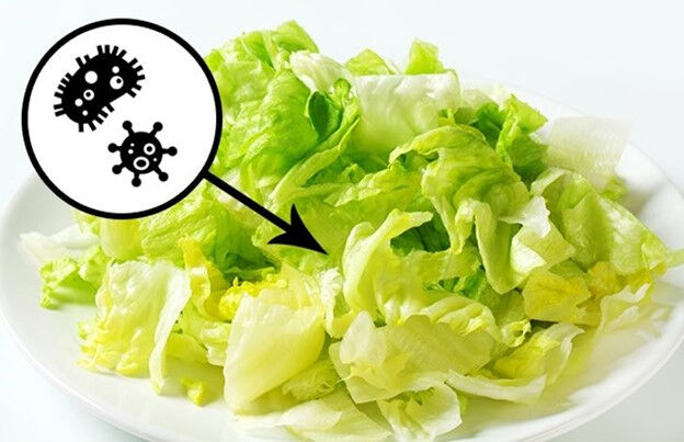 10 món ăn được các đầu bếp chuyên nghiệp khuyến cáo không nên gọi ở nhà hàng-7
