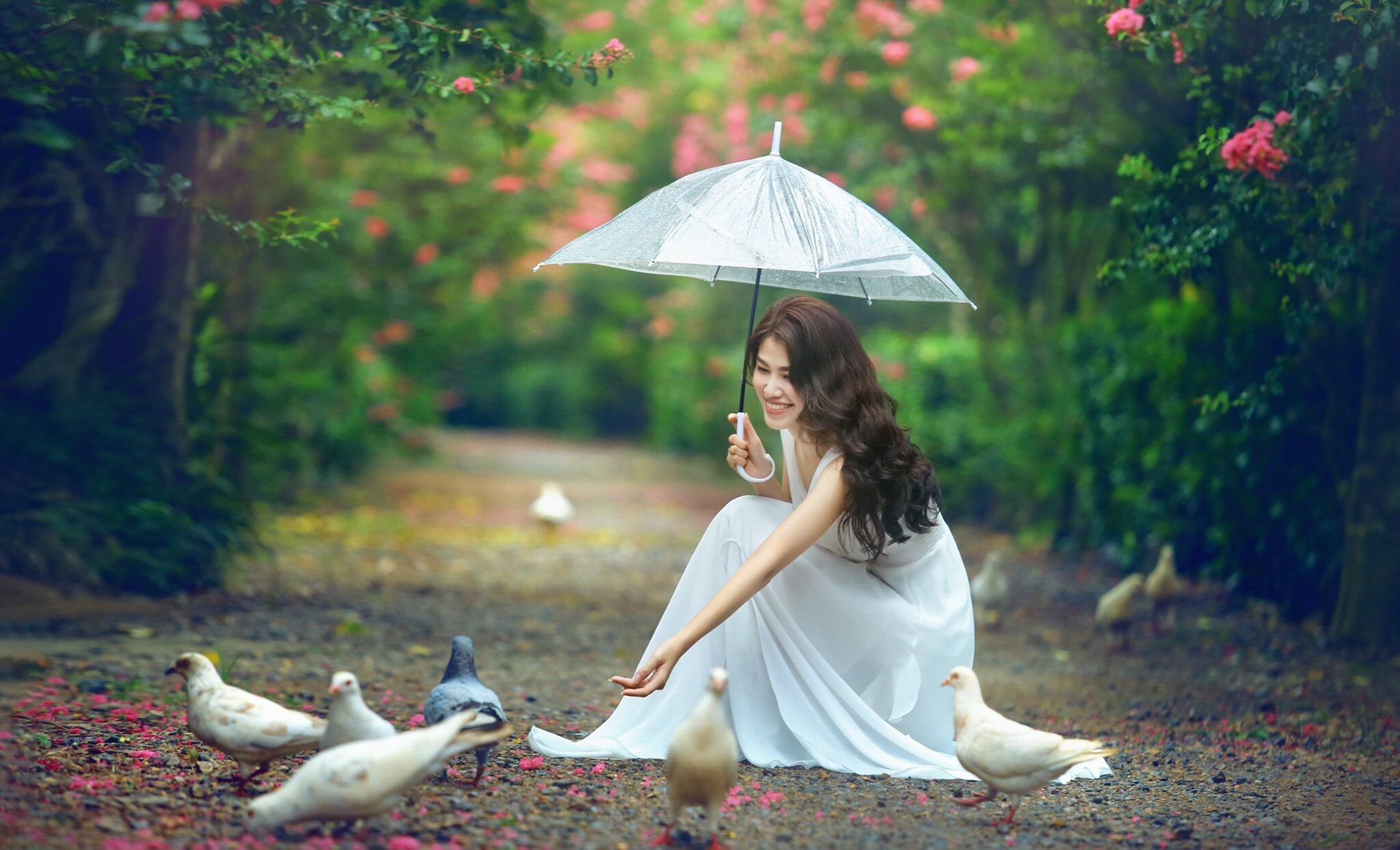 Mê mẩn đường hoa tường vi, đẹp tựa vườn thượng uyển ở trời Âu - 6