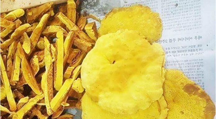 Top 6 loại nấm đắt đỏ bật nhất hiện nay-14