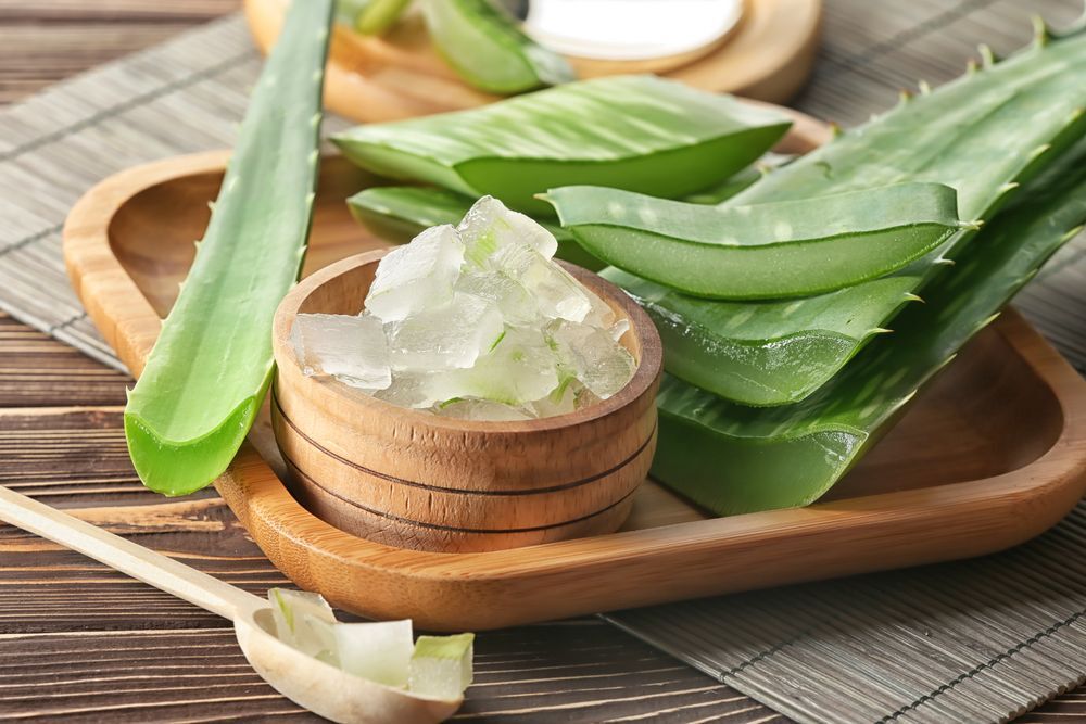 Lô hội Nha đam