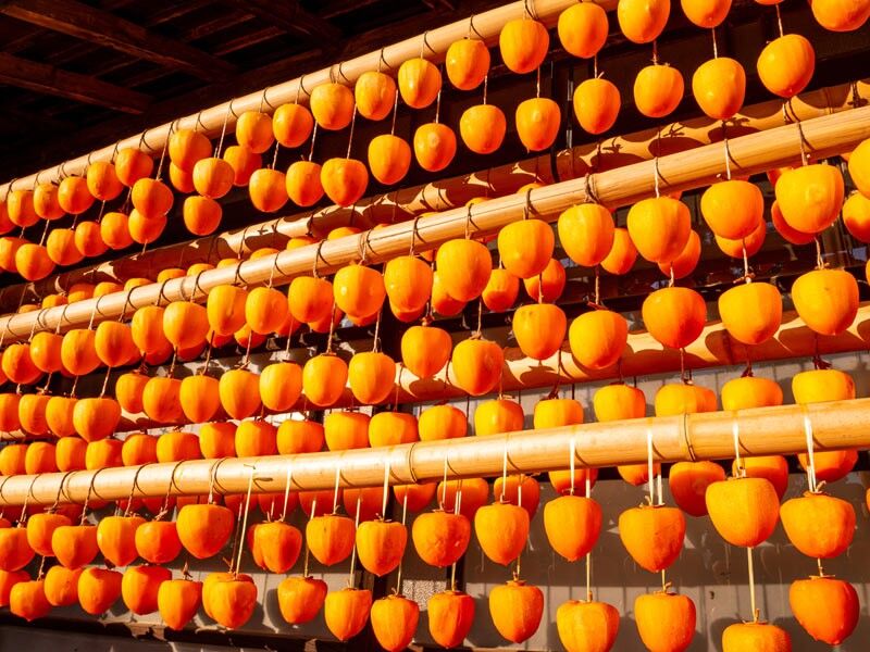 Những điều thú vị về quả hồng, loại trái cây đặc sản của mùa thu Nhật Bản-5