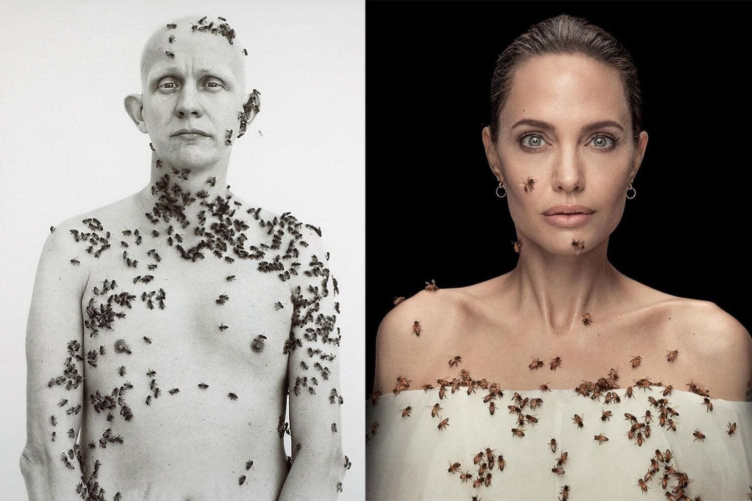 Women for Bees - Sự góp mặt của Angelina Jolie, Guerlain, Unesco và OFA-6