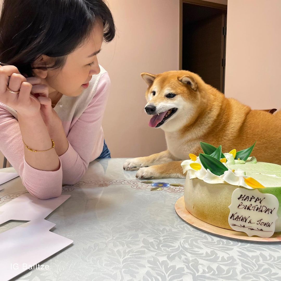 Chú chó nguyên gốc của Meme Cheems nổi tiếng-7