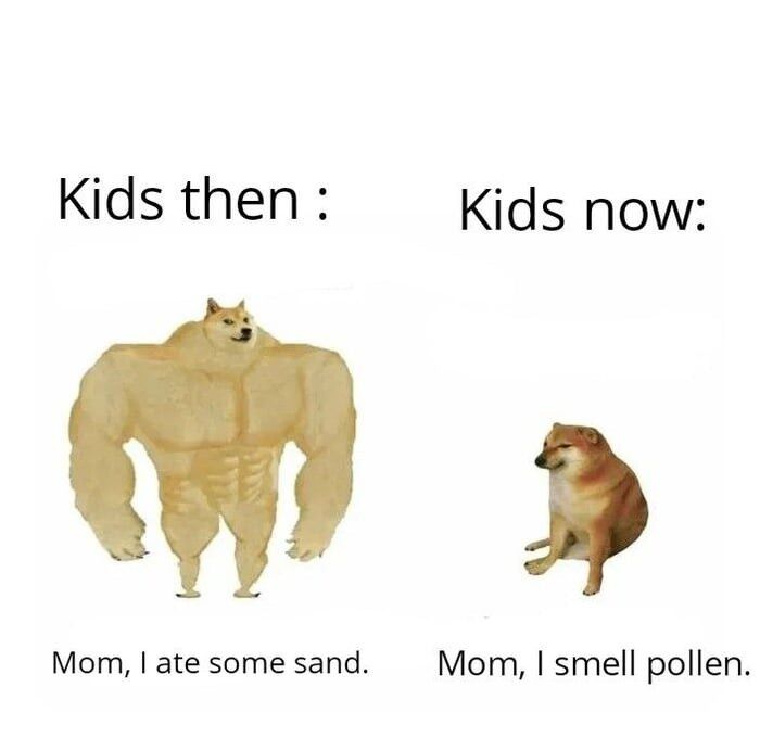 Chú chó nguyên gốc của Meme Cheems nổi tiếng-4