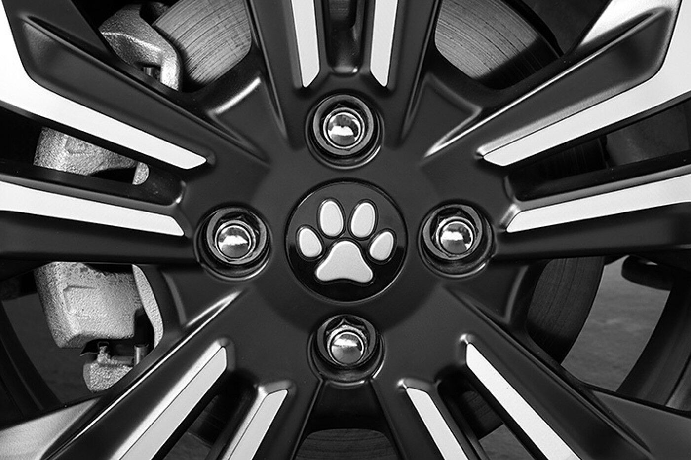 Honda Dog