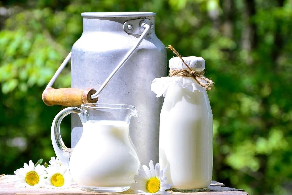 Tuyệt chiêu dùng sữa hết hạn chăm sóc khu vườn của bạn